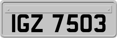 IGZ7503