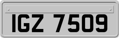 IGZ7509