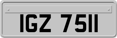 IGZ7511