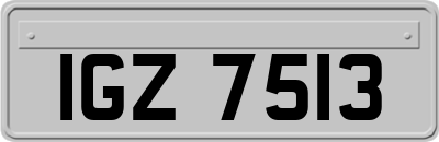 IGZ7513