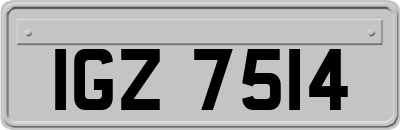 IGZ7514