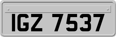 IGZ7537