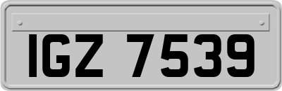 IGZ7539