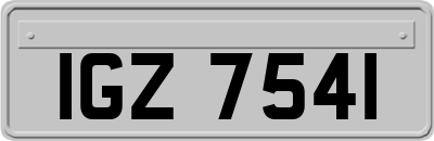 IGZ7541