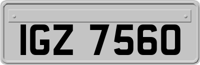 IGZ7560