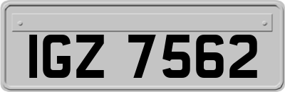 IGZ7562