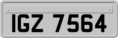 IGZ7564