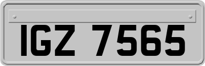 IGZ7565