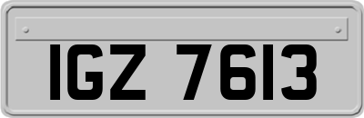 IGZ7613