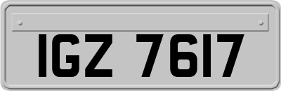 IGZ7617
