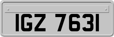 IGZ7631