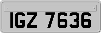 IGZ7636