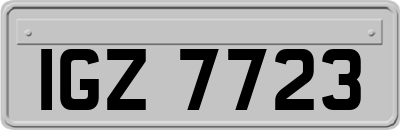 IGZ7723
