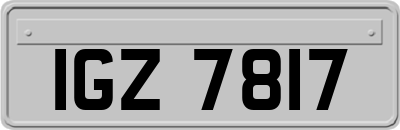 IGZ7817