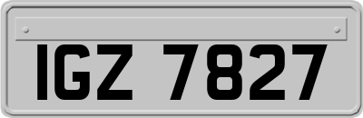 IGZ7827