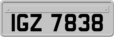 IGZ7838