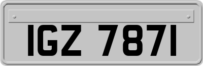 IGZ7871