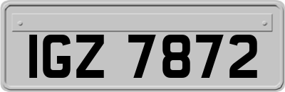IGZ7872