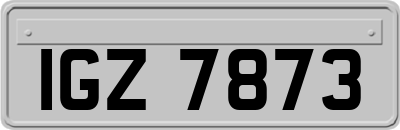 IGZ7873