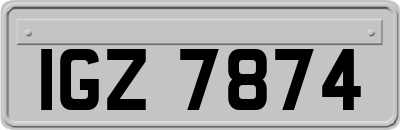 IGZ7874