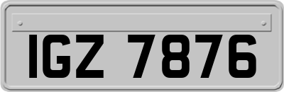 IGZ7876