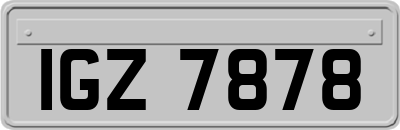 IGZ7878