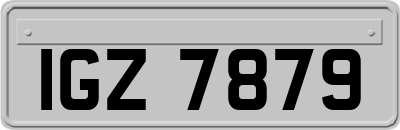 IGZ7879