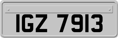 IGZ7913