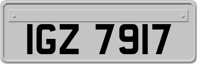 IGZ7917