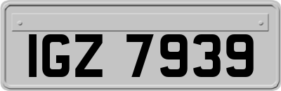 IGZ7939