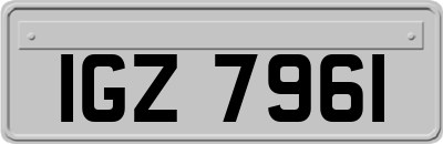 IGZ7961