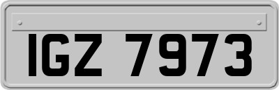 IGZ7973