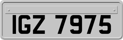 IGZ7975