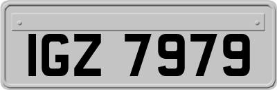 IGZ7979