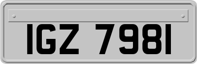IGZ7981