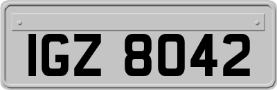 IGZ8042