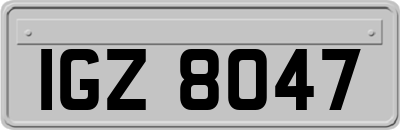 IGZ8047