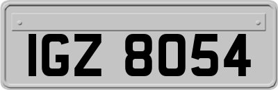 IGZ8054