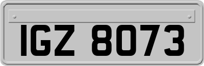 IGZ8073