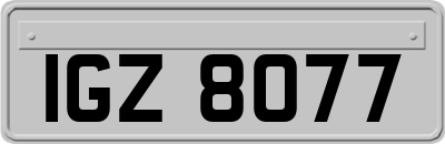 IGZ8077