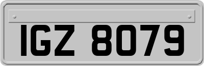IGZ8079