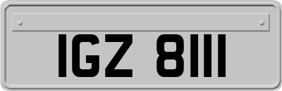 IGZ8111