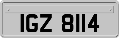 IGZ8114