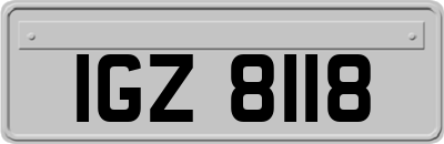 IGZ8118