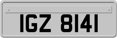 IGZ8141
