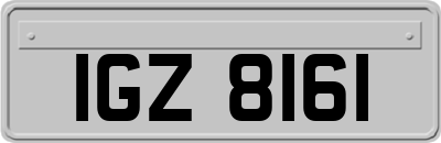 IGZ8161