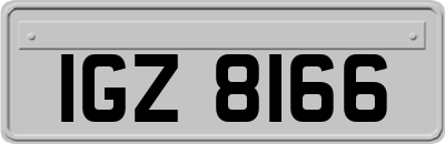 IGZ8166