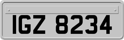 IGZ8234