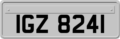 IGZ8241
