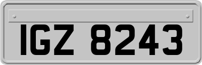 IGZ8243